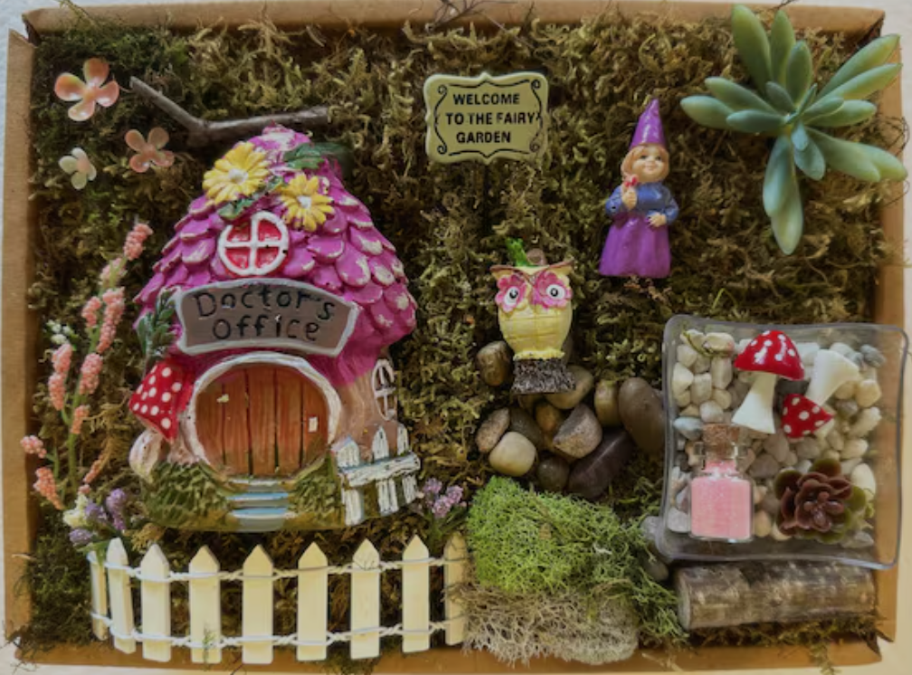 Fairy Garden kit